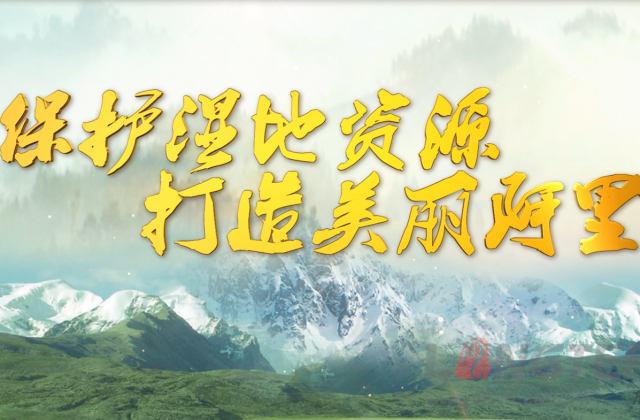 阿里湿地保；；；；ば